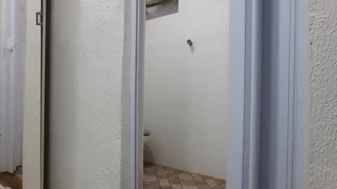 mike11343 online show from 03-06-26, 05:53