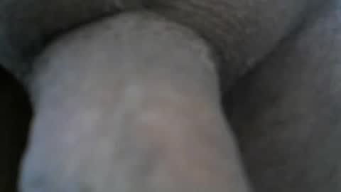 Snapshot of mike26051 chatting on 12-24-24, 06:50 mike26051 online show from 12-24-24, 06:50