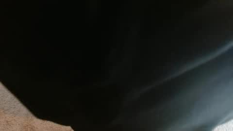 mikehey1 online show from 10-01-25, 03:51