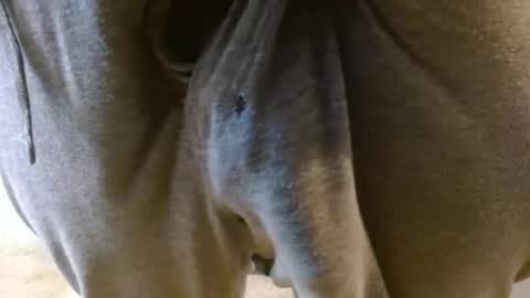 mikehey1 online show from 11-27-25, 08:55