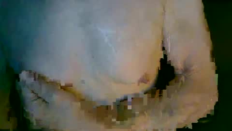 Snapshot of mikenyc55 chatting on 10-04-25, 03:10 mikenyc55 online show from 10-04-25, 03:10