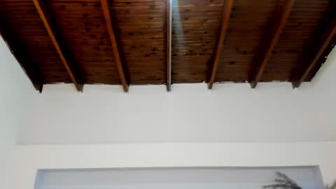 Mila Rose online show from 01-06-25, 11:18