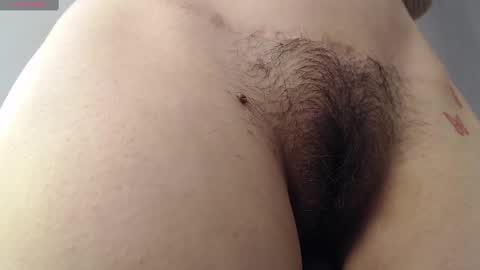 Snapshot of milker_amira chatting on 02-25-25, 04:31 Amira online show from 02-25-25, 04:31