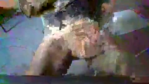 Snapshot of minoas31 chatting on 12-13-24, 08:09 minoas31 online show from 12-13-24, 08:09