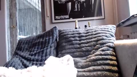 Snapshot of miracolix_030 chatting on 02-10-26, 09:02 Ben online show from 02-10-26, 09:02