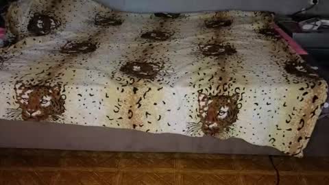 Snapshot of mirahardmanxx chatting on 11-10-25, 12:37 Happy New Year online show from 11-10-25, 12:37