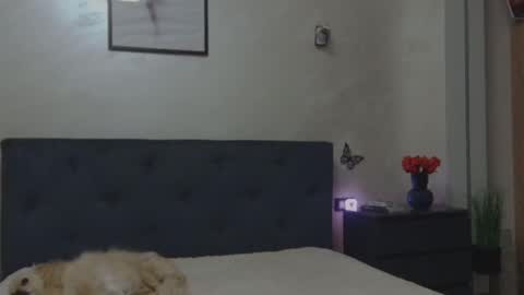 miriam04 online show from 12-04-25, 10:29