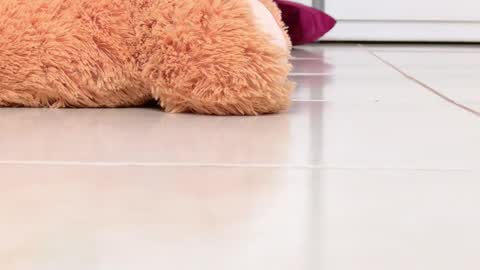 Snapshot of miss_alexxxa_ chatting on 02-16-26, 08:16 Alexa online show from 02-16-26, 08:16