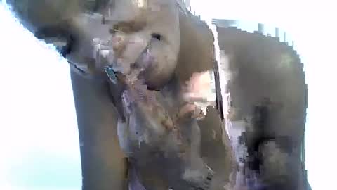 sexy online show from 01-19-26, 10:30