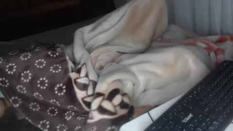 sarah online show from 12-28-24, 04:30