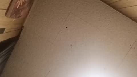 mjmichaelware online show from 02-24-26, 06:55