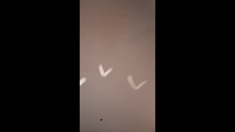 Snapshot of mjokanovich5229 chatting on 03-10-26, 10:20 Mike4using online show from 03-10-26, 10:20