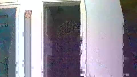 mmpempis81 online show from 10-01-25, 05:30