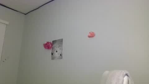 mochacup19 online show from 02-24-25, 12:52