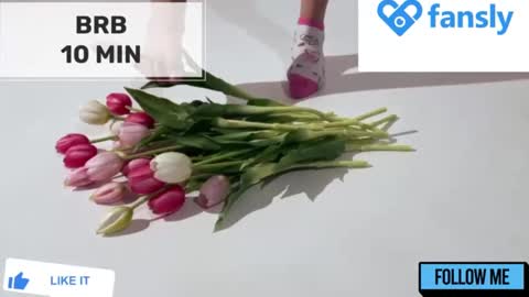 Mommy online show from 12-16-24, 02:15