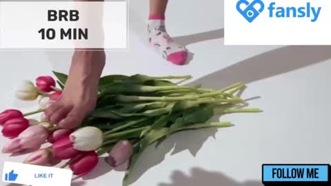 Mommy online show from 12-20-24, 05:47