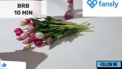 Mommy online show from 12-26-24, 02:12