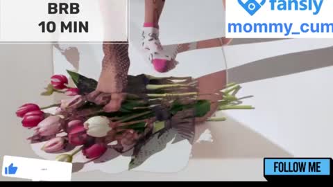 Mommy online show from 01-23-25, 08:25