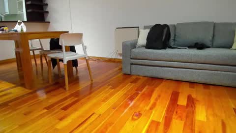 Snapshot of monikfree chatting on 12-05-24, 04:23 Monikfree online show from 12-05-24, 04:23