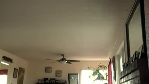 Snapshot of monkeedance chatting on 02-16-25, 05:37 Monkee Dance online show from 02-16-25, 05:37