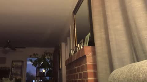 Snapshot of monkeedance chatting on 02-22-25, 02:17 Monkee Dance online show from 02-22-25, 02:17