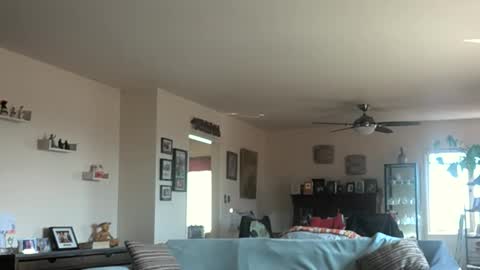 Snapshot of monkeedance chatting on 03-03-25, 10:10 Monkee Dance online show from 03-03-25, 10:10