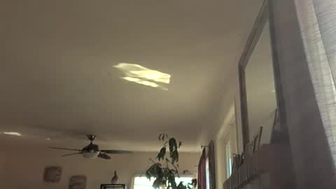 Snapshot of monkeedance chatting on 11-18-25, 09:19 Monkee Dance online show from 11-18-25, 09:19