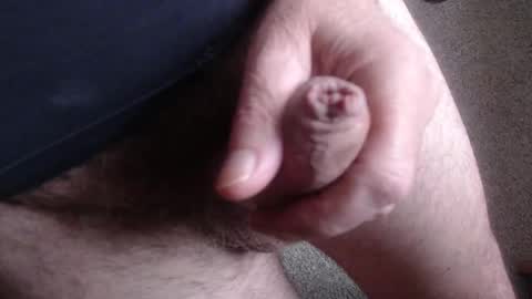 monkeypawpony online show from 11-11-25, 08:25