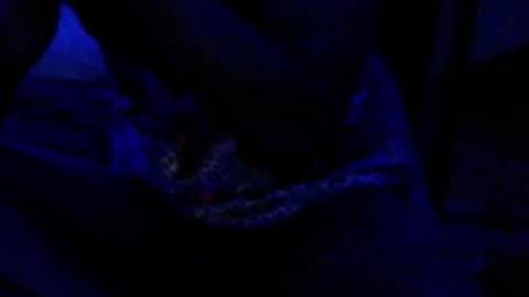 Snapshot of montydxxx2 chatting on 12-17-25, 04:35 montydxxx2 online show from 12-17-25, 04:35