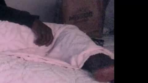 montydxxx2 online show from 02-03-26, 06:40