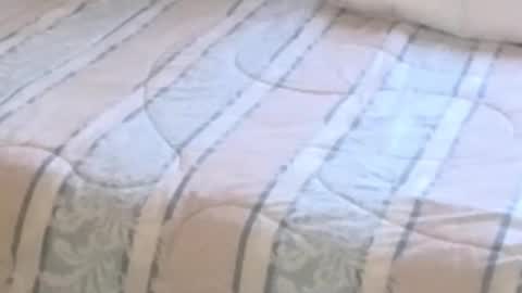 montydxxx2 online show from 02-12-26, 11:22