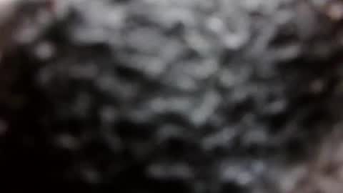 Snapshot of moonlines chatting on 09-08-25, 11:04 BouncyBoner online show from 09-08-25, 11:04