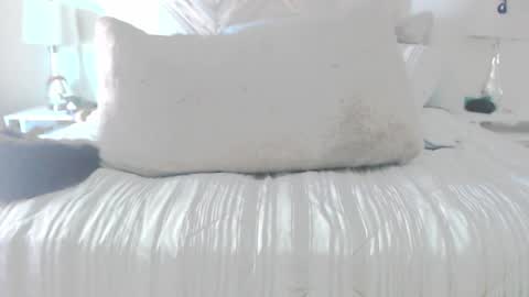 Didier online show from 03-02-26, 05:20