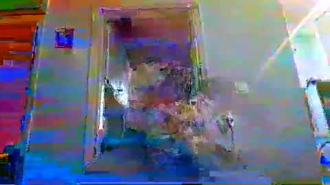 mppempis81 online show from 11-16-25, 03:17