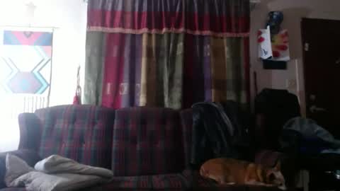 mr_happy12 online show from 11-07-25, 11:49