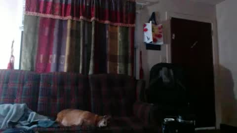 mr_happy12 online show from 11-15-25, 11:21