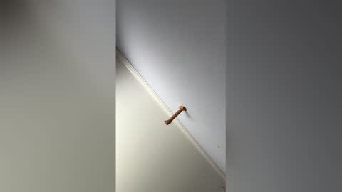 Hunter online show from 02-14-26, 09:11