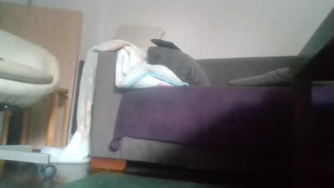 Snapshot of mrhandsomelovee chatting on 10-18-25, 09:54 Nikola online show from 10-18-25, 09:54