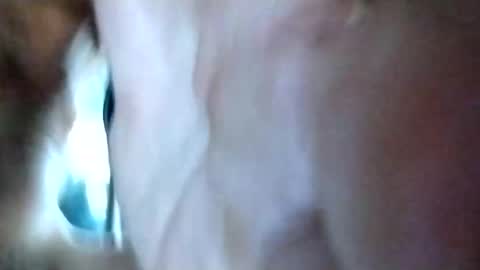 mrhotcock7inch online show from 12-27-24, 08:24