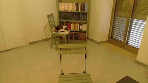 mrkurt86 online show from 11-19-25, 01:55