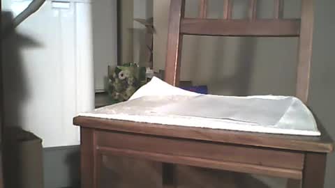 Snapshot of mrroarke chatting on 12-29-24, 03:44 Longshot online show from 12-29-24, 03:44