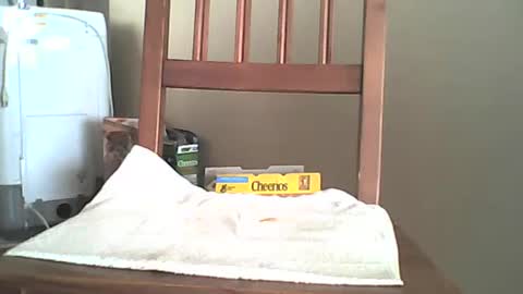 Snapshot of mrroarke chatting on 10-06-25, 11:35 Longshot online show from 10-06-25, 11:35