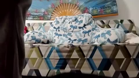 ms2wet4u1000 online show from 11-05-25, 12:16