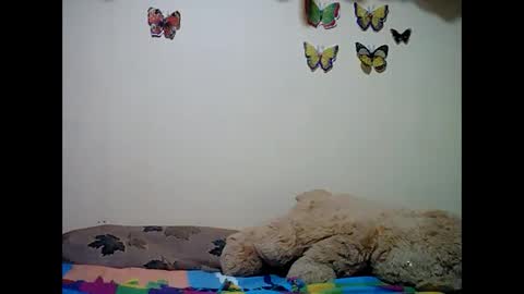 Snapshot of ms_teery chatting on 12-08-24, 12:30 ms_teery online show from 12-08-24, 12:30