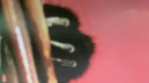 msduss351 online show from 02-02-25, 01:08