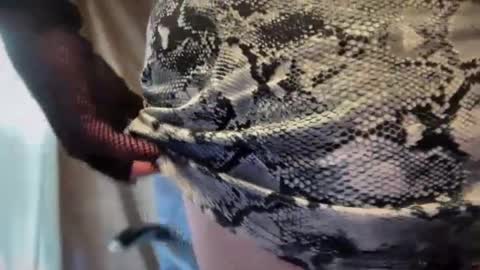 Snapshot of mskarentoy chatting on 10-06-25, 07:55 mskarentoy online show from 10-06-25, 07:55