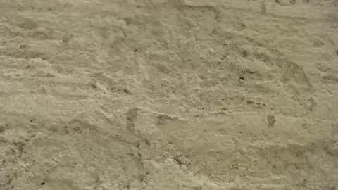 Snapshot of mullty chatting on 12-18-24, 08:36 Mullty online show from 12-18-24, 08:36