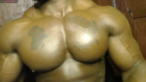 Snapshot of musclegodsammy23 chatting on 09-20-25, 12:11 musclegod23 online show from 09-20-25, 12:11