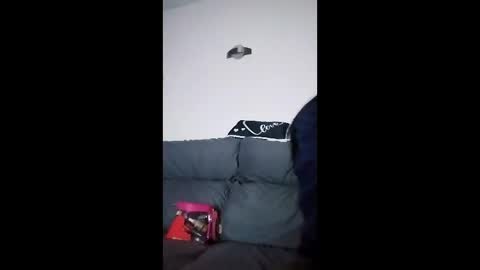 mweed95 online show from 12-04-25, 05:06