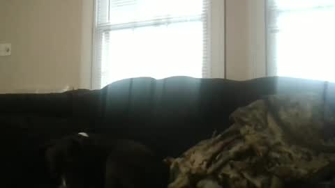 my_banana_creampies online show from 02-19-26, 01:51